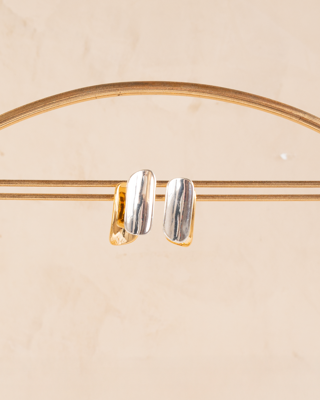 Aretes Bicolor
