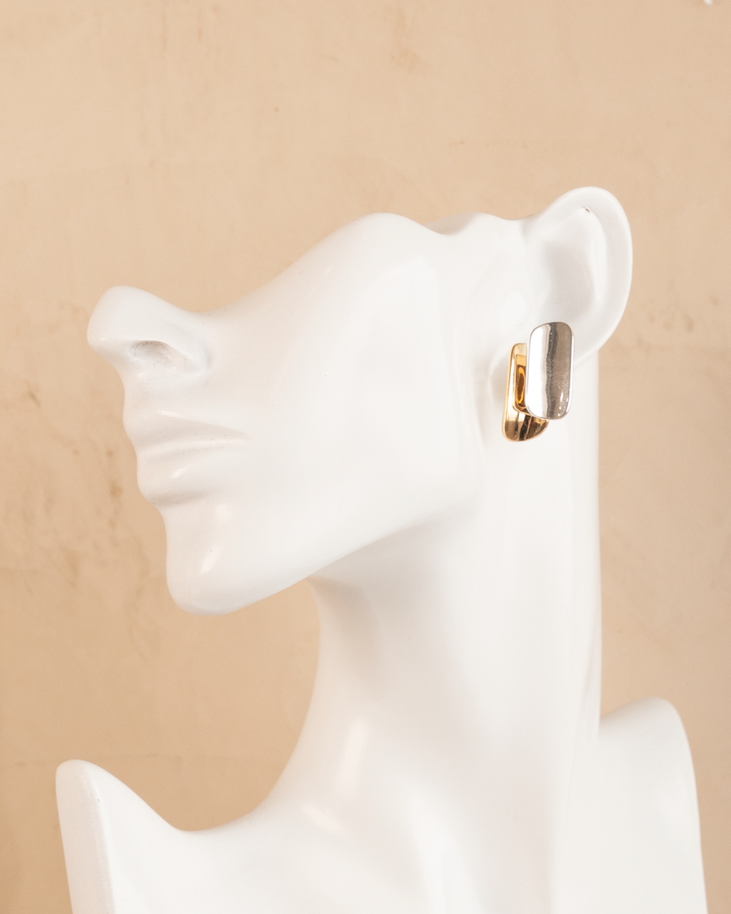 Aretes Bicolor