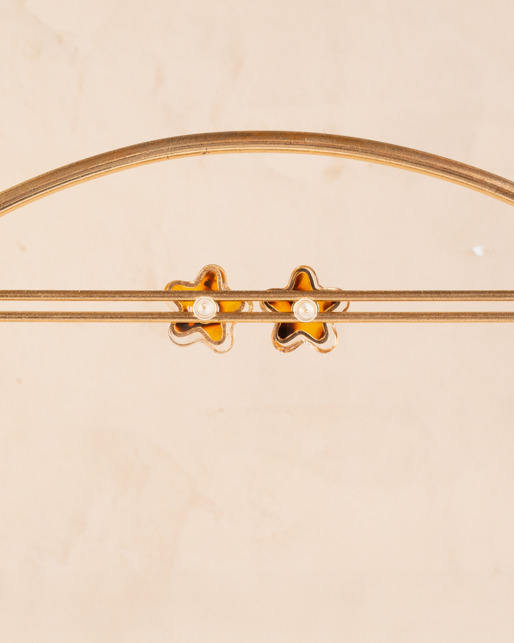 Aretes argolla Flor Carey